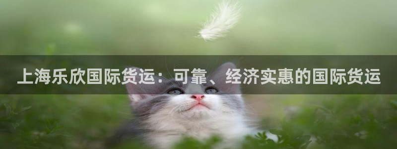 尊龙最近一次露面：上海乐欣国际货运：可靠、经济实惠的国际