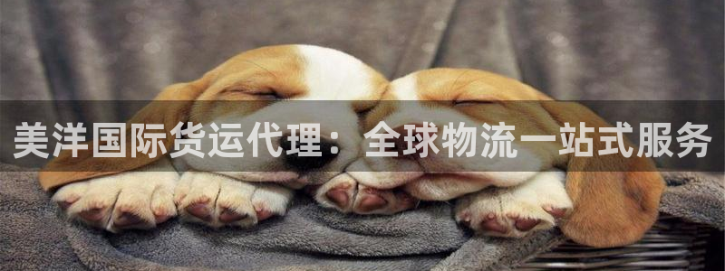 尊龙人生就是博官：美洋国际货运代理：全球物流一站式服务