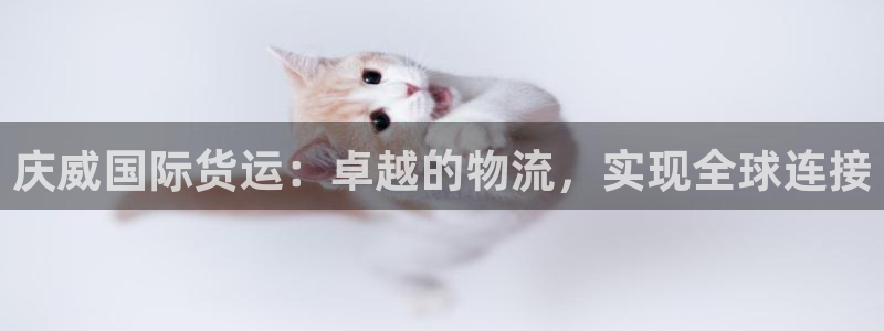 尊龙官方：庆威国际货运：卓越的物流，实现全球连接