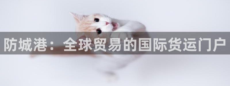 尊龙官网网页版：防城港：全球贸易的国际货运门户