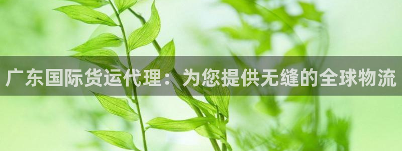 尊龙凯时平台正规吗：广东国际货运代理：为您提供无缝的全球