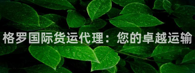 尊龙凯时官网网页版：格罗国际货运代理：您的卓越运输