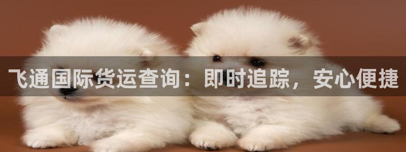 尊龙人生就是-首页：飞通国际货运查询：即时追踪，安心便捷