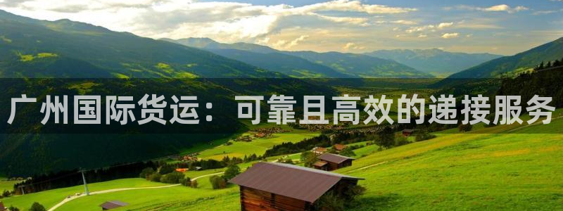尊龙-人生就是博：广州国际货运：可靠且高效的递接服务