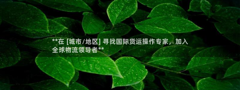 z6尊龙官网：**在 [城市/地区] 寻找国际货运操作专