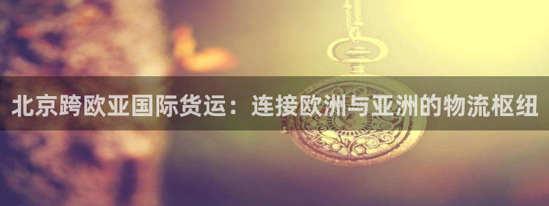 尊龙官网首页：北京跨欧亚国际货运：连接欧洲与亚洲的物流枢