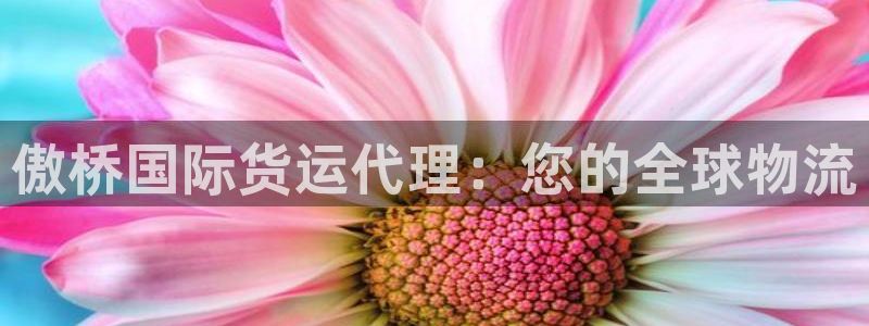 尊龙-人生就是博：傲桥国际货运代理：您的全球物流