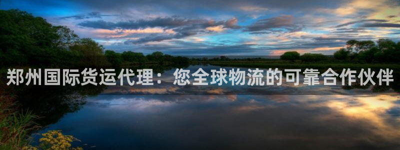 尊龙t300和t400哪个好：郑州国际货运代理：您全球物