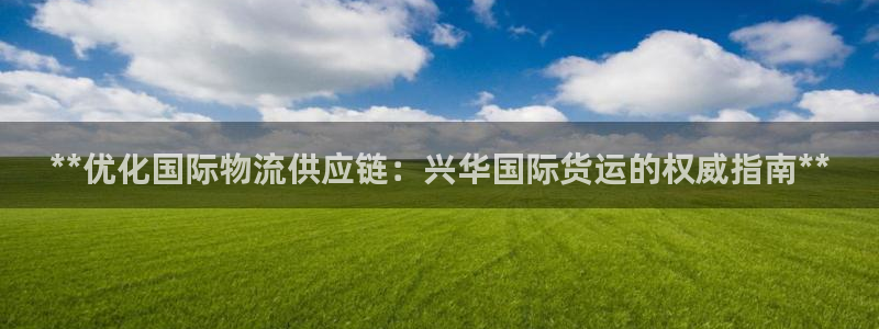 百度一下尊龙：**优化国际物流供应链：兴华国际货运的权威