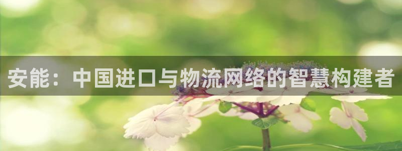 尊龙人生就是博电脑版