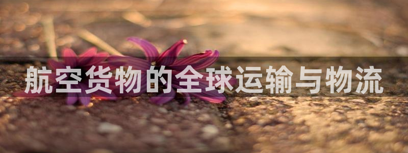 d88尊龙手机客户端下载