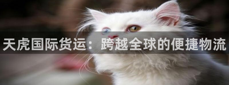尊龙网址是多少