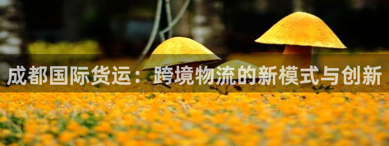 尊龙集团
