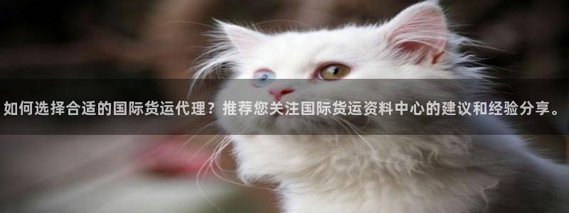 尊龙官网