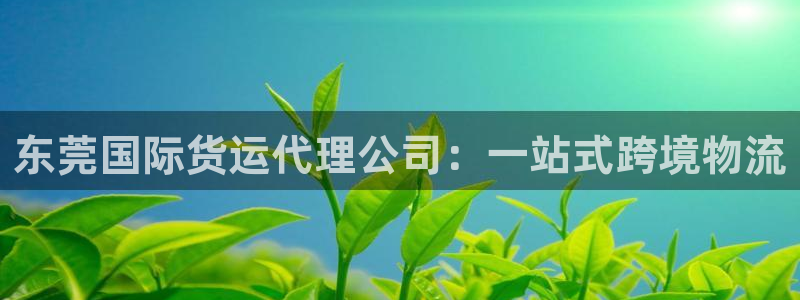 尊龙官方网站首页