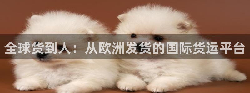 尊龙app最新版本官网