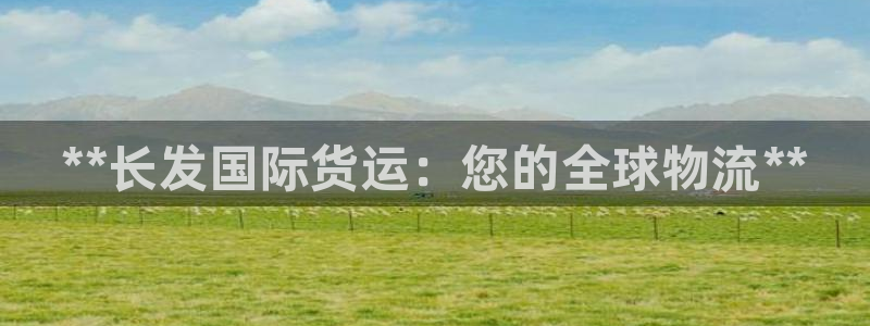 尊龙凯时提款冻卡吗：**长发国际货运：您的全球物流**