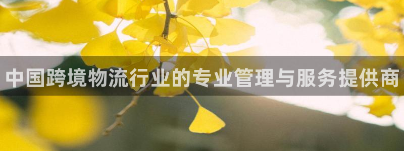 尊龙百度贴吧