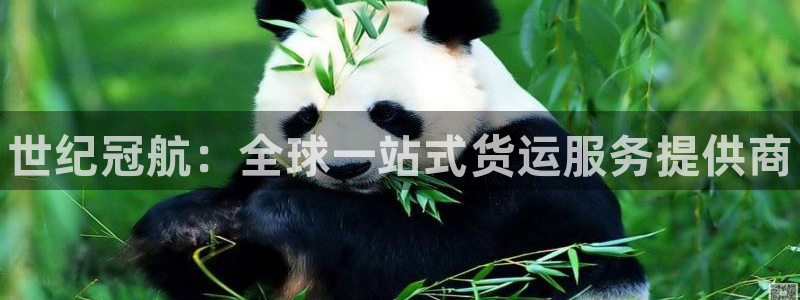 尊龙人生就是博旧版网址